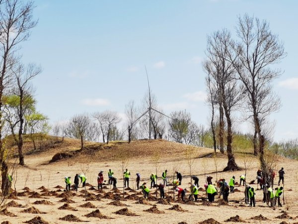 三星证券 荒漠化和沙化土地“双缩减”，一些地方毁林毁草问题仍存在
