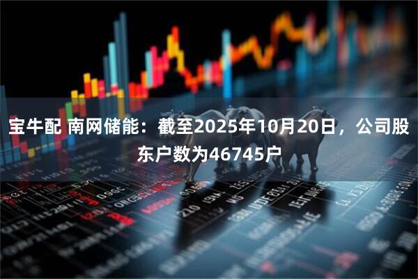 宝牛配 南网储能：截至2025年10月20日，公司股东户数为46745户